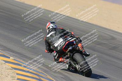 media/Nov-12-2023-SoCal Trackdays (Sun) [[5d1fba4e7d]]/Turn 10 Backside (115pm)/